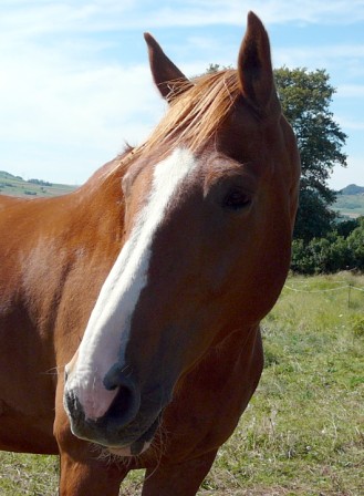 Espoir